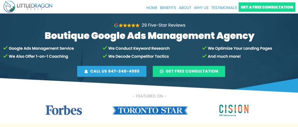 Little Dragon affiliate agency in canada - website