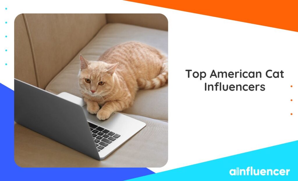 Read more about the article Top 23 American Cat Influencers: Meet the Top Feline Stars of 2025