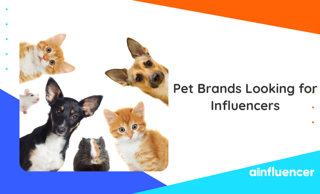 Read more about the article Pet Brands Looking for Influencers: Top 18 Opportunities for Influencers