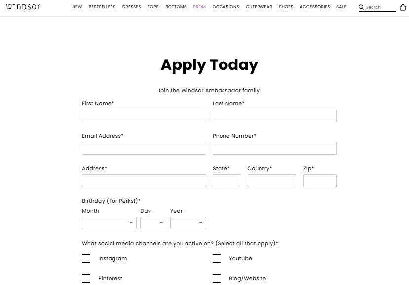 windsor store brand ambassador application form