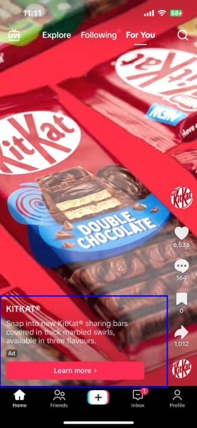 How do TikTok Ads Look Like