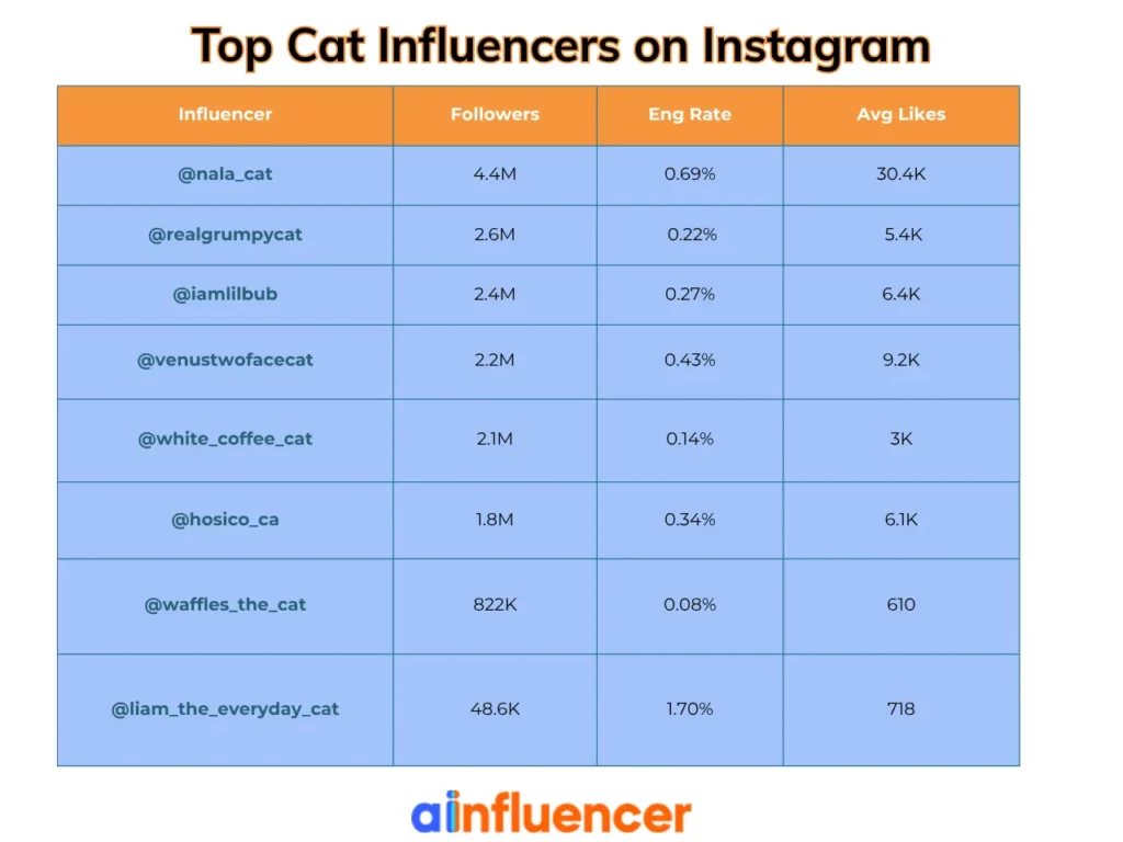 cat influencers on Instagram