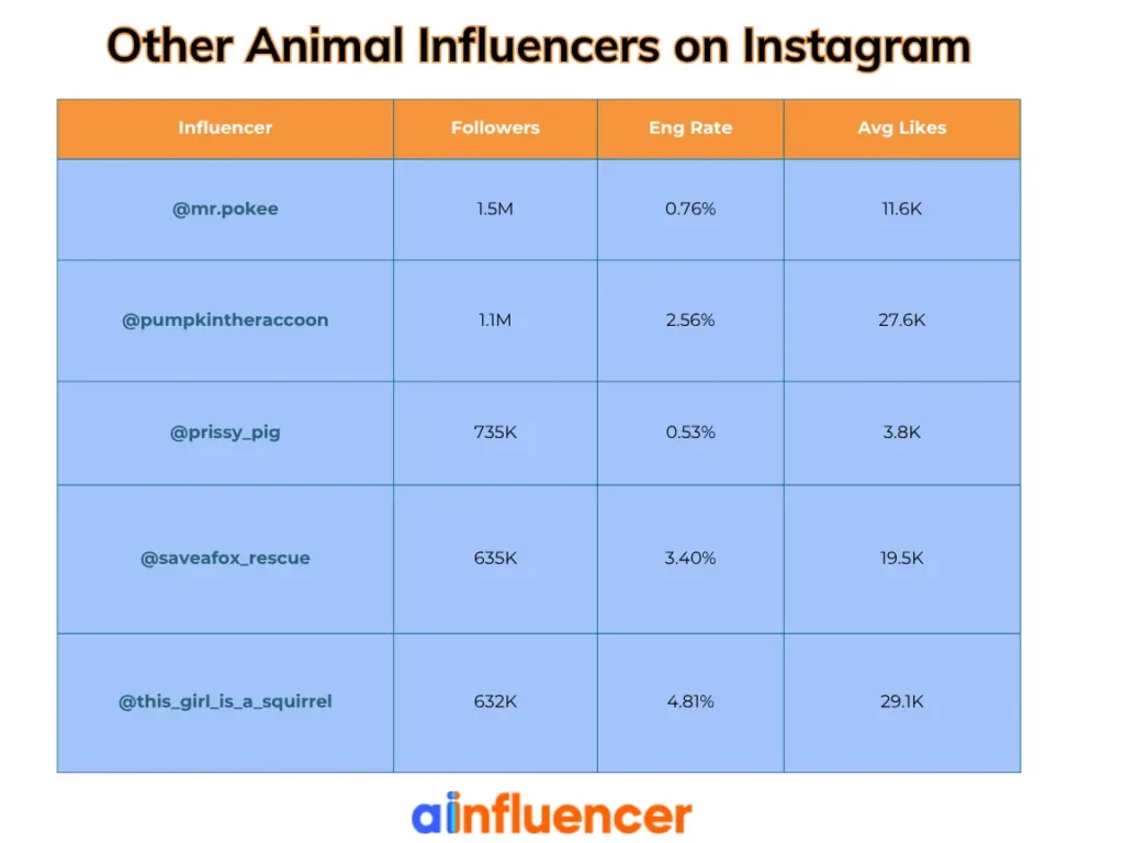 other animal influencers on Instagram