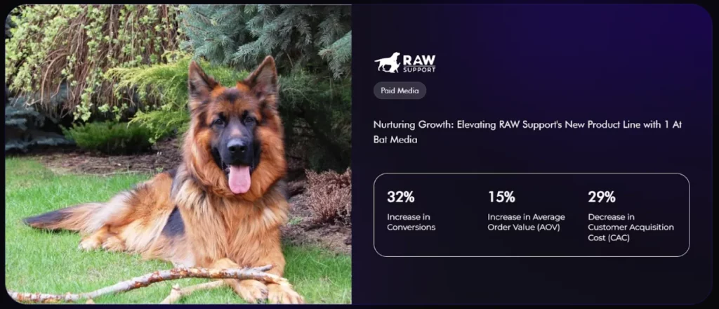 1 At Bat Media Case Studies: RAW Support Case Study
