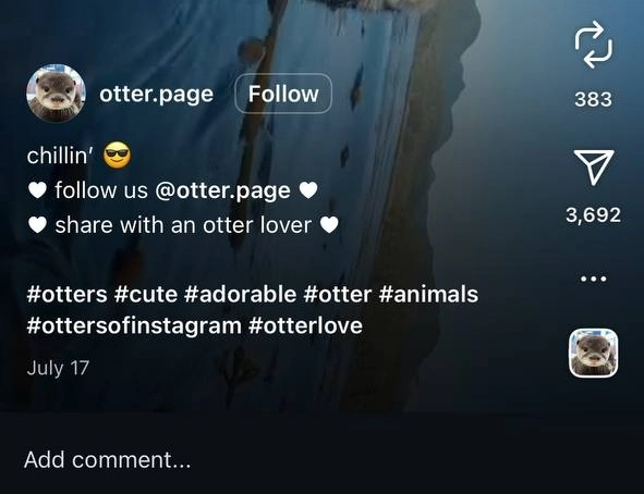 Use Relatable Hashtags and Captions