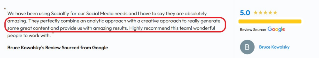 review of Socialfly