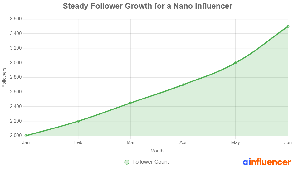How does a steady follower growth look like for a nano influencer
