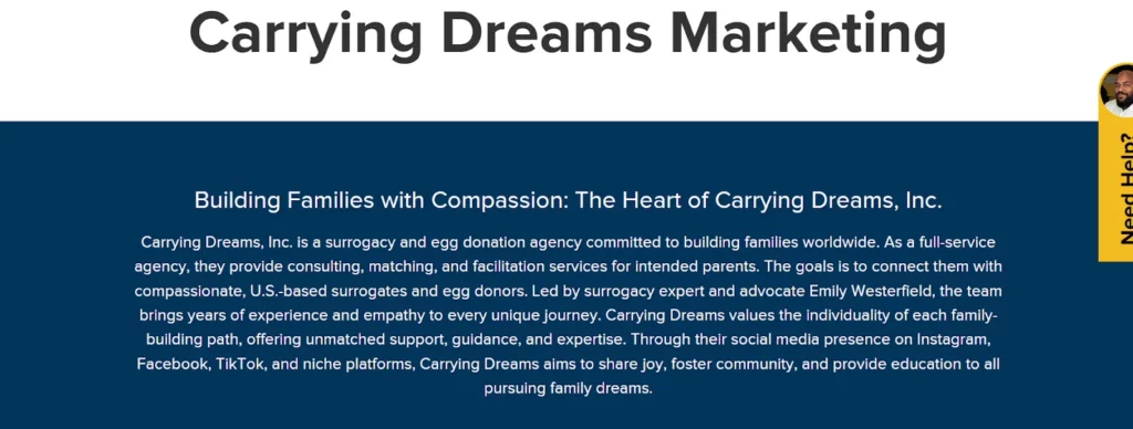 SmartSites Agency Case Study: Carrying Dreams, Inc.